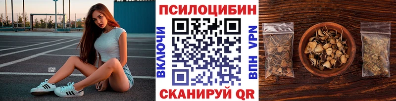 Галлюциногенные грибы MAGIC MUSHROOMS  наркотики  Новочебоксарск 
