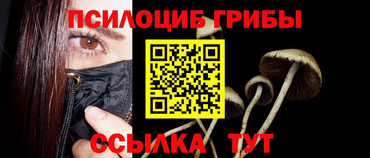 Псилоцибиновые грибы Psilocybine cubensis  Вход с VPN  Новочебоксарск 