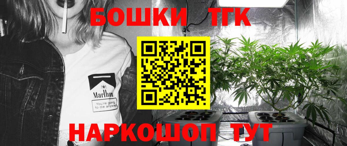 Бошки марихуана White Widow  Конопля ГИДРОПОН  Новочебоксарск  Вход с VPN 